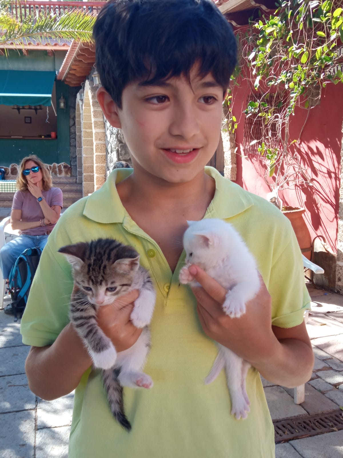 Cuidar el medioambiente y los animales 4