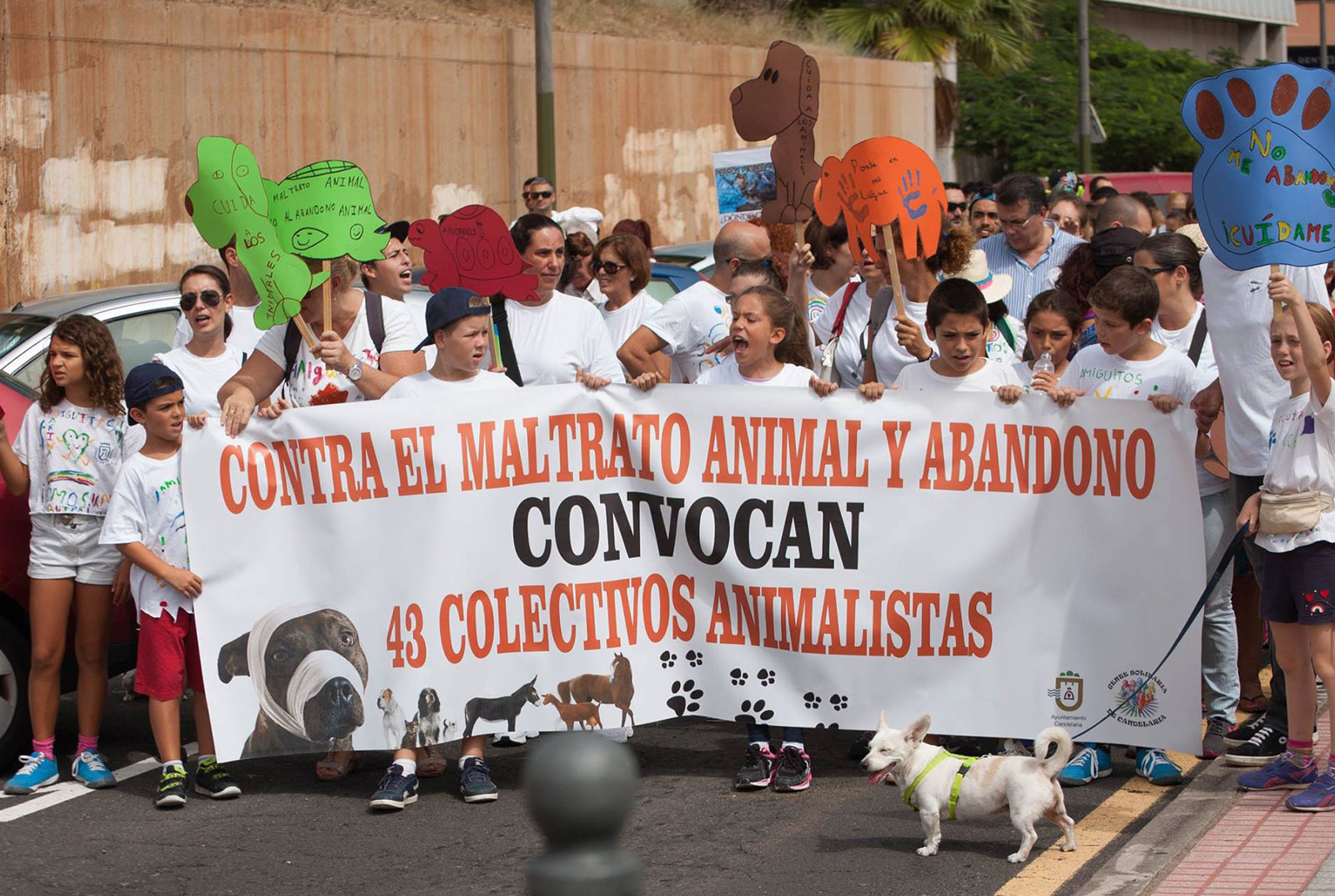Misión-Cuidar-el-medio-ambiente-y-los-animales-1